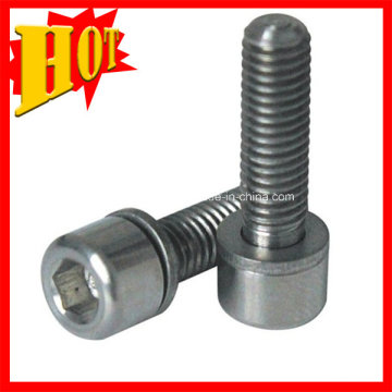 Gr7 Mini Titanium Bolt et Titanium Screw